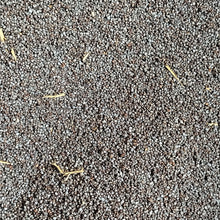 Load image into Gallery viewer, 4 lbs OG All Natural Wildcrafted Poppy seeds papaver somniferum UW - Old City Spices FP
